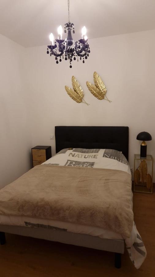 Appartement Cosy Centre Ville Roanne Bagian luar foto