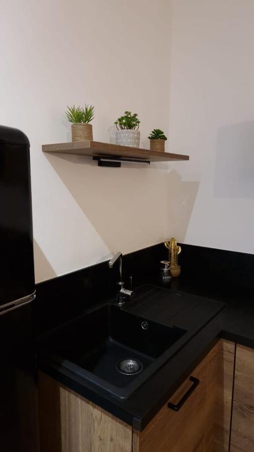 Appartement Cosy Centre Ville Roanne Bagian luar foto
